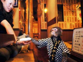 رستوران ژاپنی که میمون‌ها غذا سرو می‌کنند